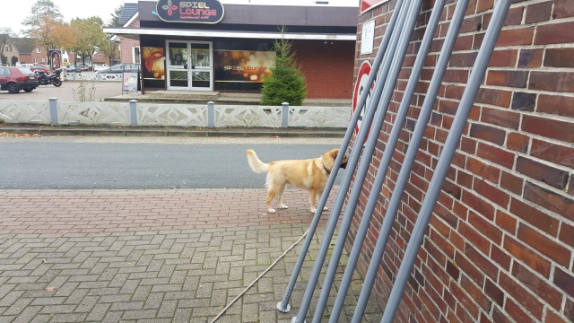 ../fotos/strassenfest_2017/2017-10-21 11.18.33.jpg